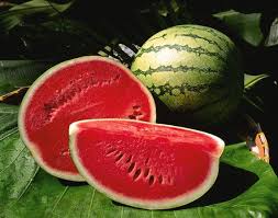 Watermelon